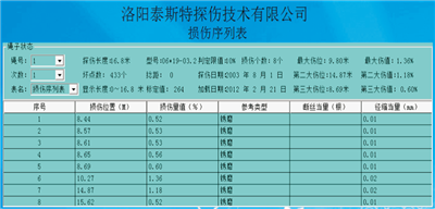 便携型钢丝绳探伤仪检测报告损伤序列表